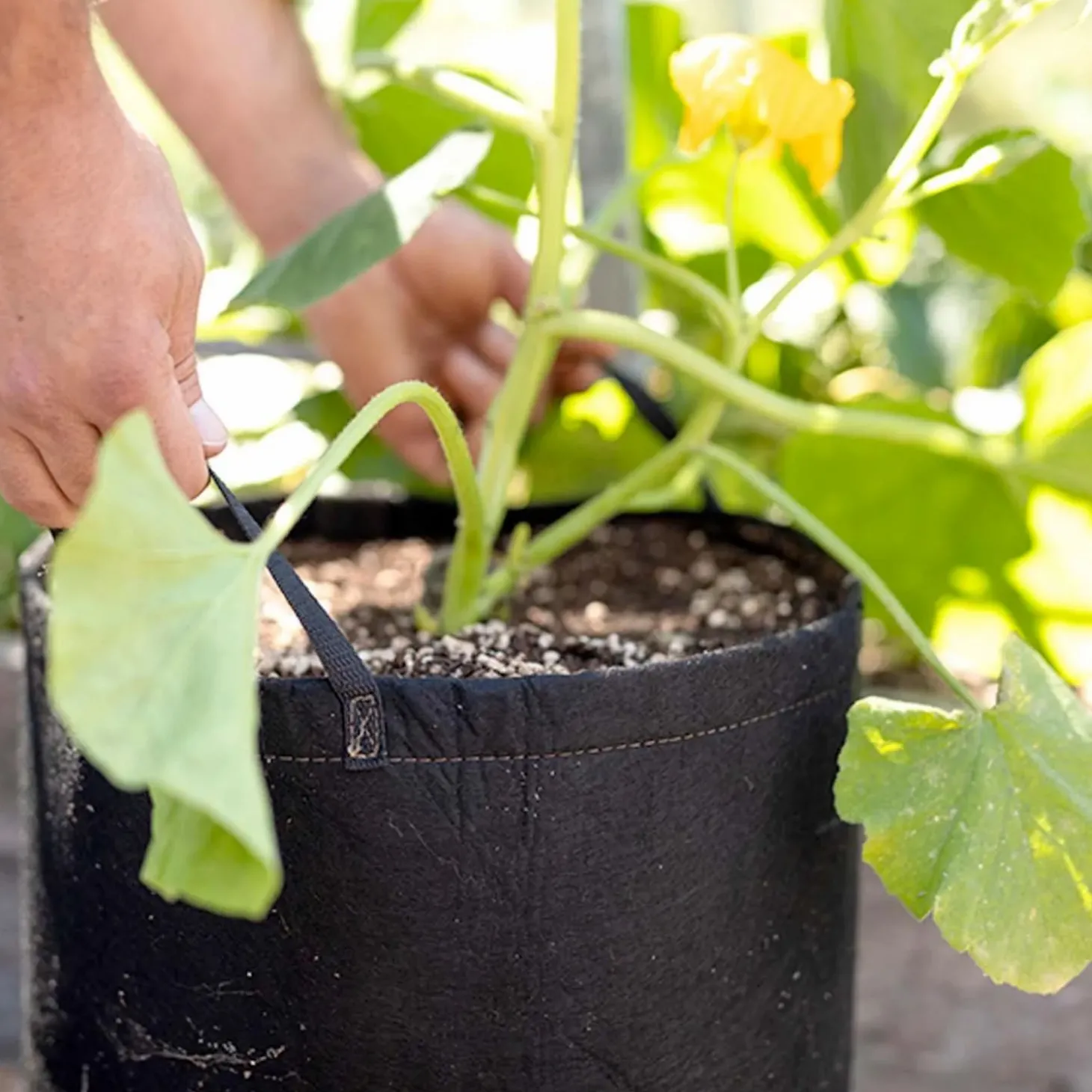 Garden Gloves + Tools + Accessories>Roger's Gardens Black Geopot Fabric Bag - 15 Gallon