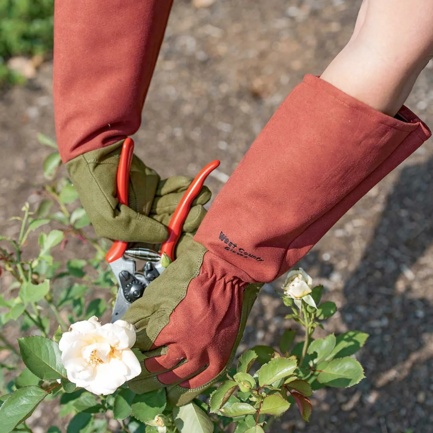 Garden Gloves + Tools + Accessories>Roger's Gardens Comfort Pro Rose Gloves