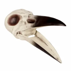 Halloween Decor>Roger's Gardens Evil Raven Skull - 8.75" X 3.5" X 3.5"