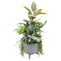 Indoor Planted Arrangements>Roger's Gardens Foliage In Large Grey Aztec Planter
