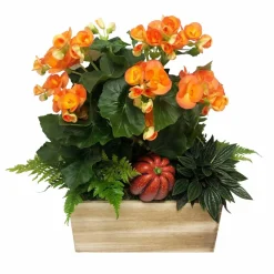Indoor Planted Arrangements>Roger's Gardens Large Tradational Fall Living Centerpiece