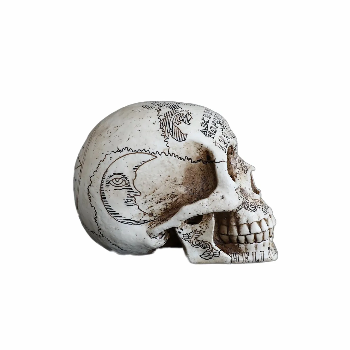Halloween Decor>Roger's Gardens Ouija Skull - 6.25" Tall