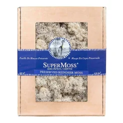 Mosses>Roger's Gardens Reindeer Moss - Natural Color - 120 Cu. In.