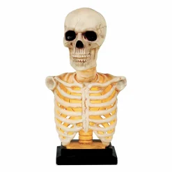 Halloween Decor>Roger's Gardens Skeleton Bust Statue With Light And Sound - 16" Tall