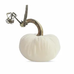 Decor Accents>Roger's Gardens Snow Velvet Pumpkin - 6" Tall To 8" Tall