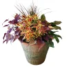 Original Design Arrangements>Roger's Gardens Traditional Fall Color In Redstone Flare Pot