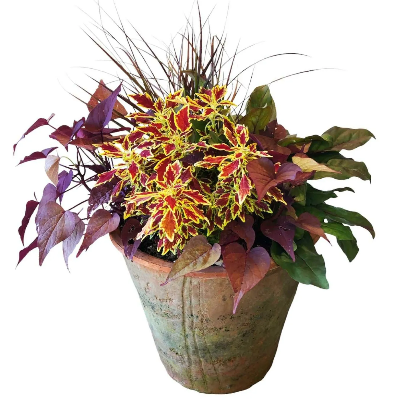 Original Design Arrangements>Roger's Gardens Traditional Fall Color In Redstone Flare Pot